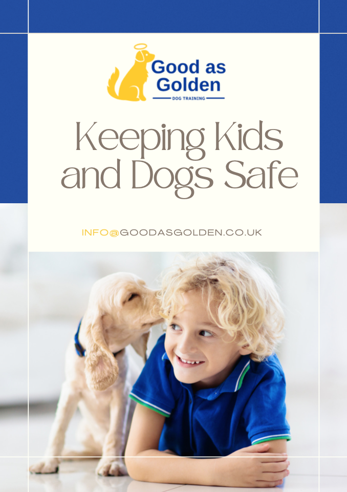 Keeping Kids and Dogs Safe