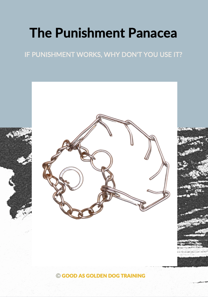 The Punishment Panacea