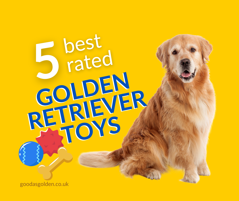 Unleash the Fun: Top 5 Toys Every Golden Retriever Needs